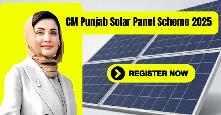 CM Punjab Solar Panel Scheme 2025