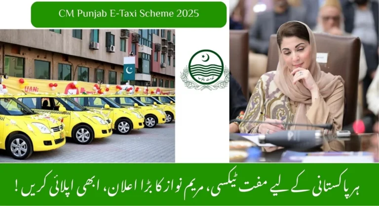 Chief Minister E-Taxi Scheme 2025