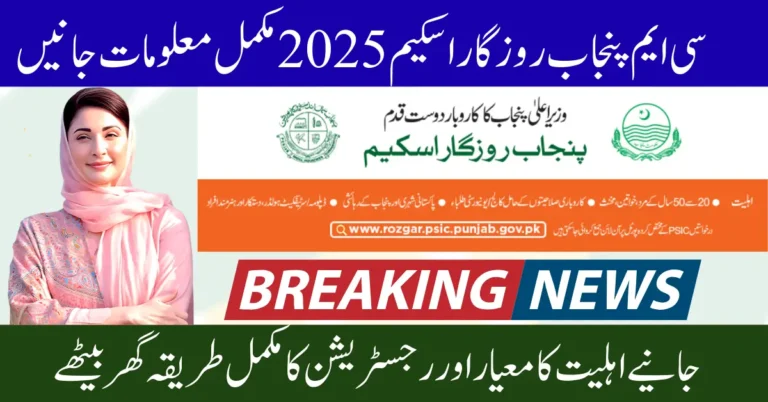 CM Punjab Rozgar Scheme 2025