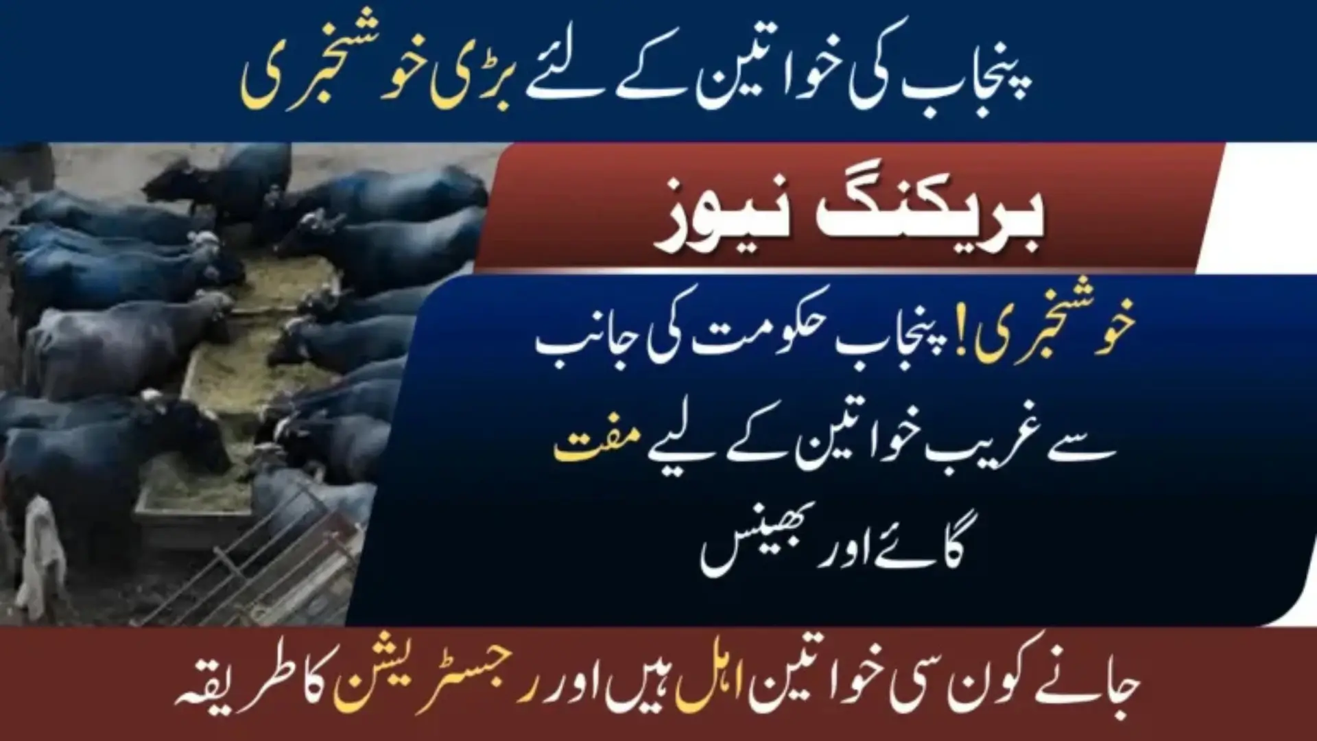 “Life-Changing & Prosperous Livestock Scheme 2025