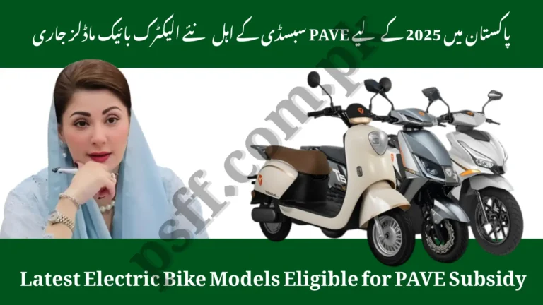 Punjab Electric Bike & EV Subsidy 2025